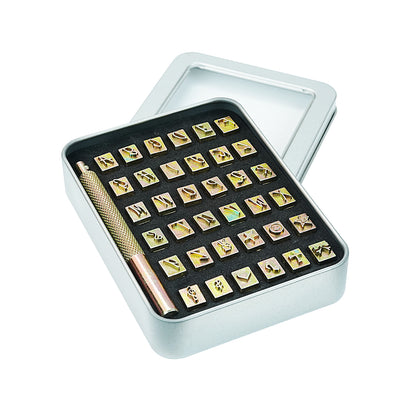 BESTNULE 37pcs Leather Stamps, Leather Stamping Kit, Leathercraft Stamping Tool Set, 26PCS Capital Letter Leather Stamps 6mm + 10pcs Symbol Stamps + 1 Stamping Handle for Leather Craft